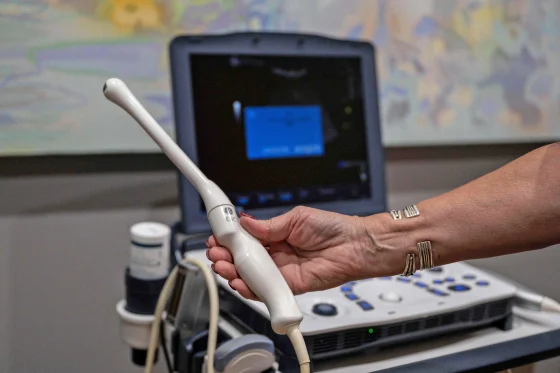 Woman holding a transvaginal ultrasound scan wand.